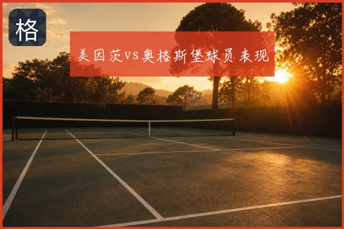 美因茨vs奥格斯堡球员表现