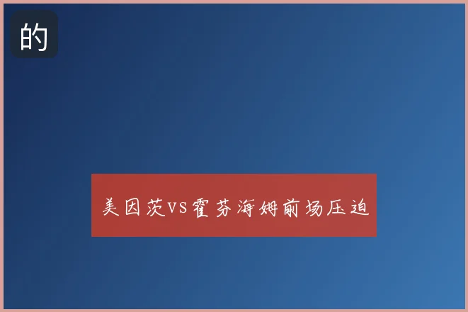 美因茨vs霍芬海姆前场压迫